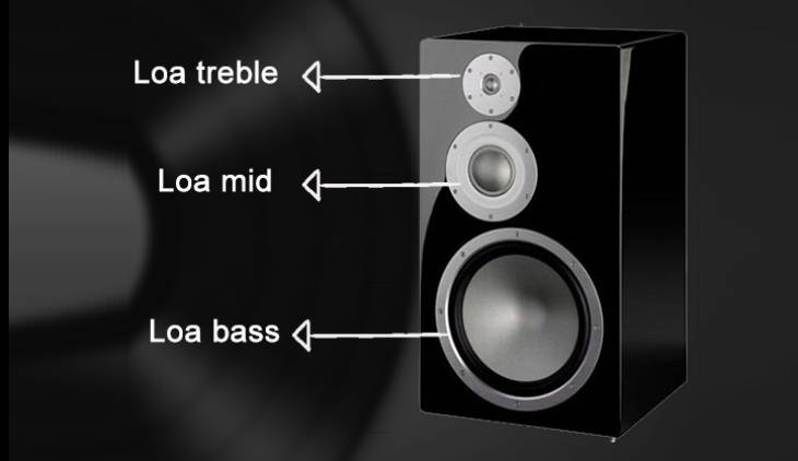Loa treble là gì